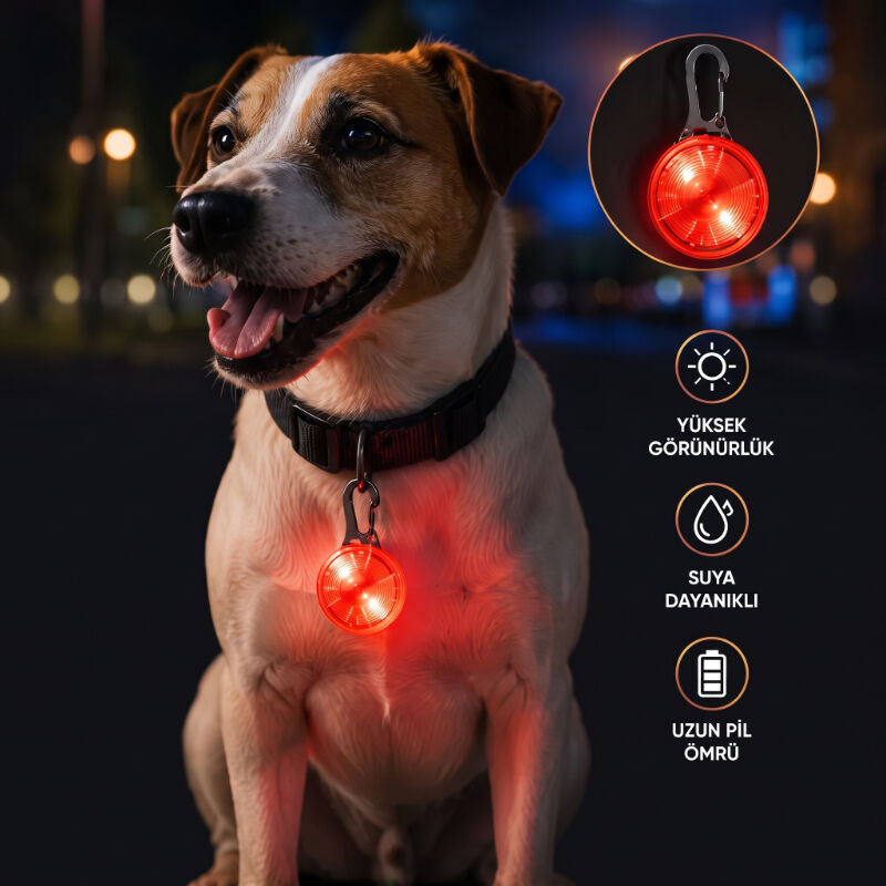Evcil Hayvan Işıklı LED Tasma Aparatı - Suya Dayanıklı - Uzun Pil Ömrü