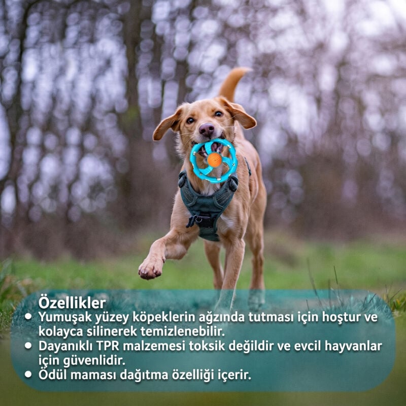 Halatlı Frizbi Köpek Isırma Oyuncağı - Mama Ödüllü Mekanizma