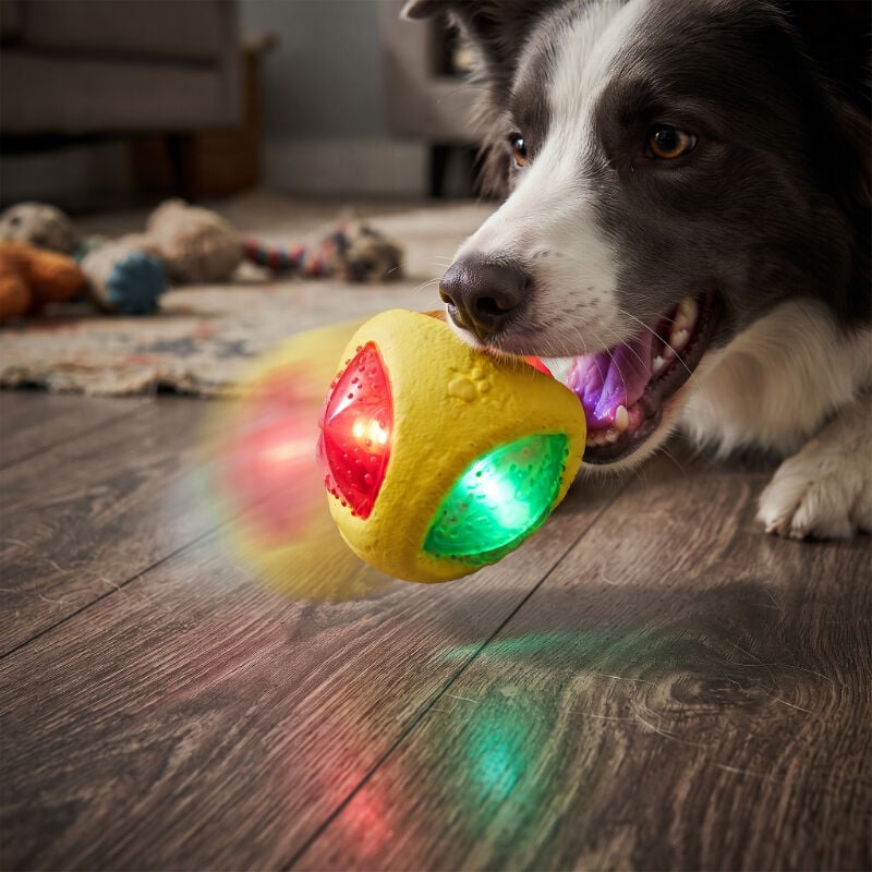 Işıklı Köpek Isırma Topu - Sesli Oyuncak