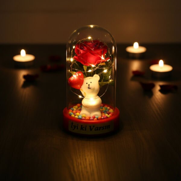 Balonlu Ayıcık Ledli Gül Fanus