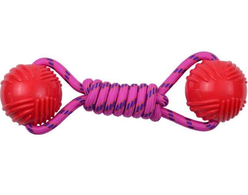 Köpekler İçin Dayanıklı Kauçuk Toplu Oyuncak