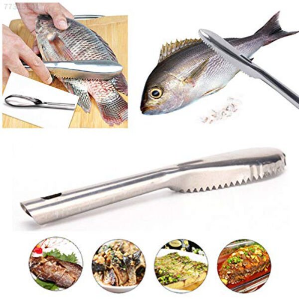 Pratik Balık Pulu Kazıyıcı Aparat